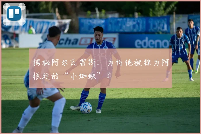 揭秘阿尔瓦雷斯:为何他被称为阿根廷的“小蜘蛛”?