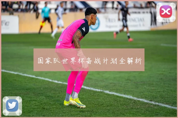 国家队世界杯备战计划全解析